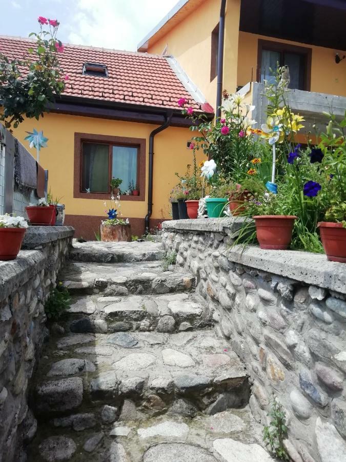 Апартаменты Casa Darius Оршова Экстерьер фото